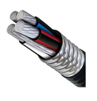 MC (Metal Clad) Cable Protective Metal Armor Around the Wires
